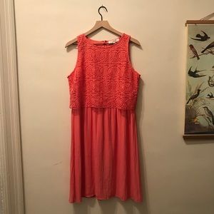 NWT Loft Coral Dress